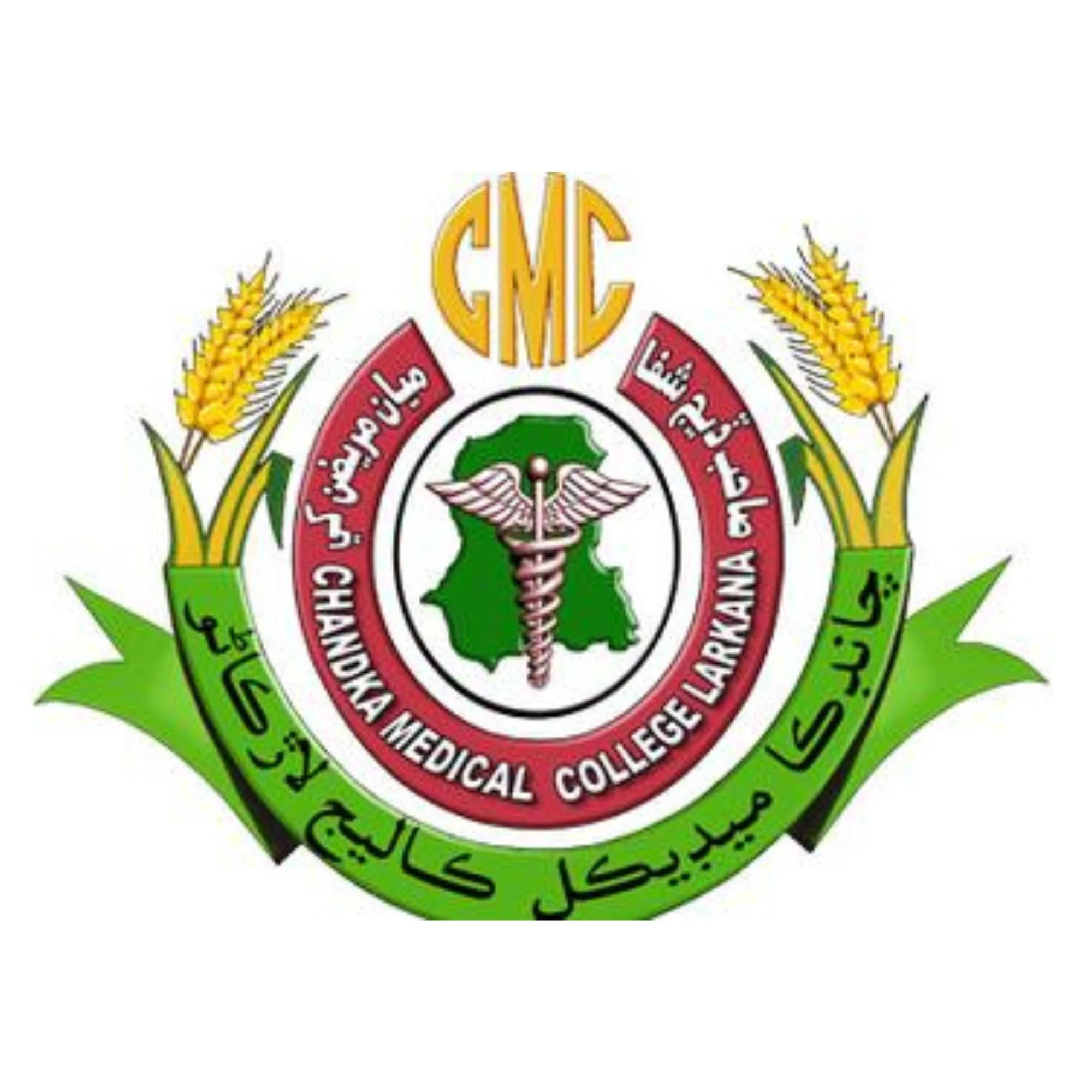 Chandka Medical College Larkana