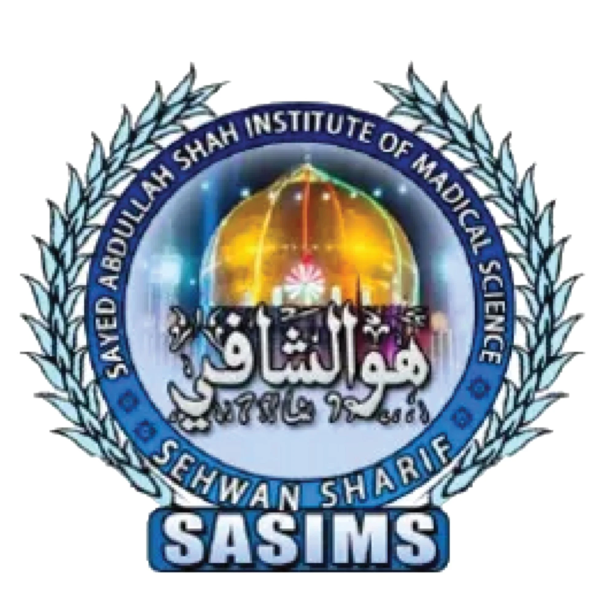 Sayed Abdullah Shah Institute of Medical Science