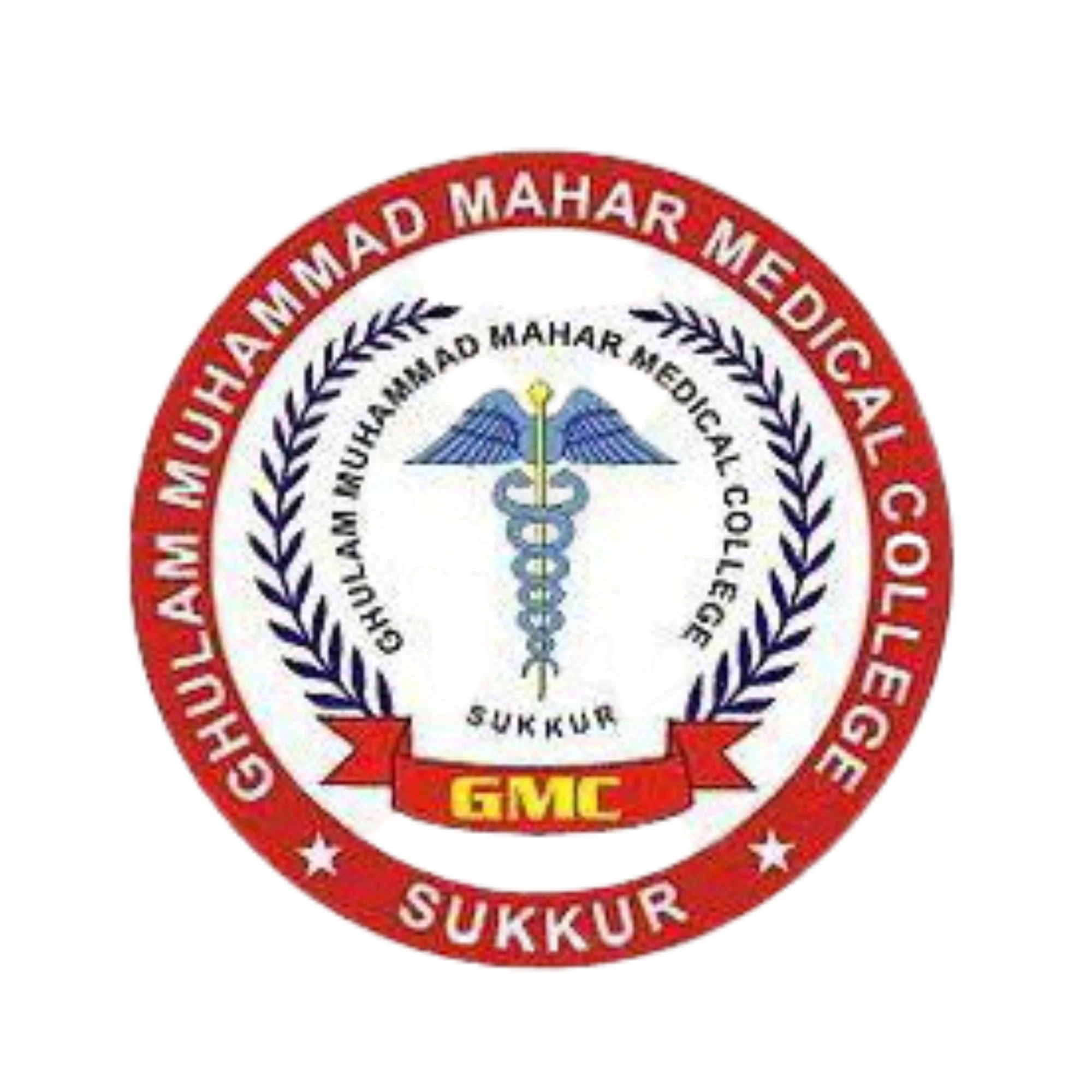 Ghulam Muhammad Mahar Medical College Sukkur